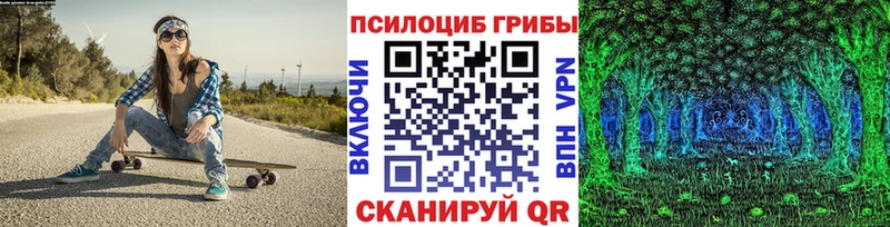 Купить где  Подпорожье  Псилоцибиновые грибы прущие грибы 